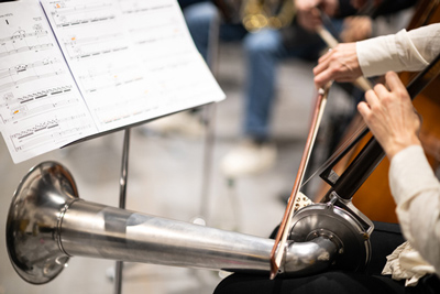 ensemble arcimboldo / rauschend 2025–1898 / Don Bosco, Basel